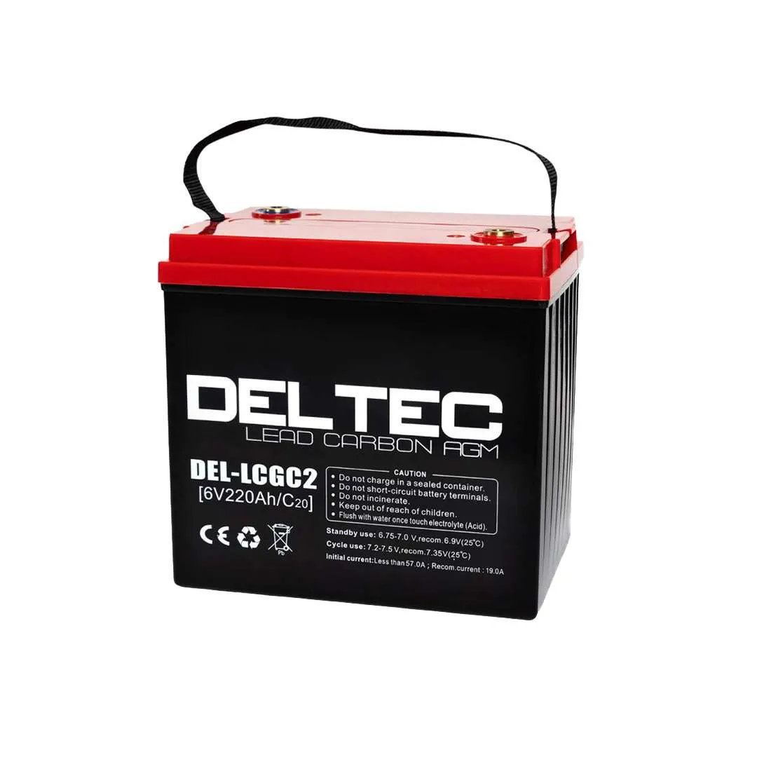 Deltec 6V 220Ah Lead Carbon AGM Battery